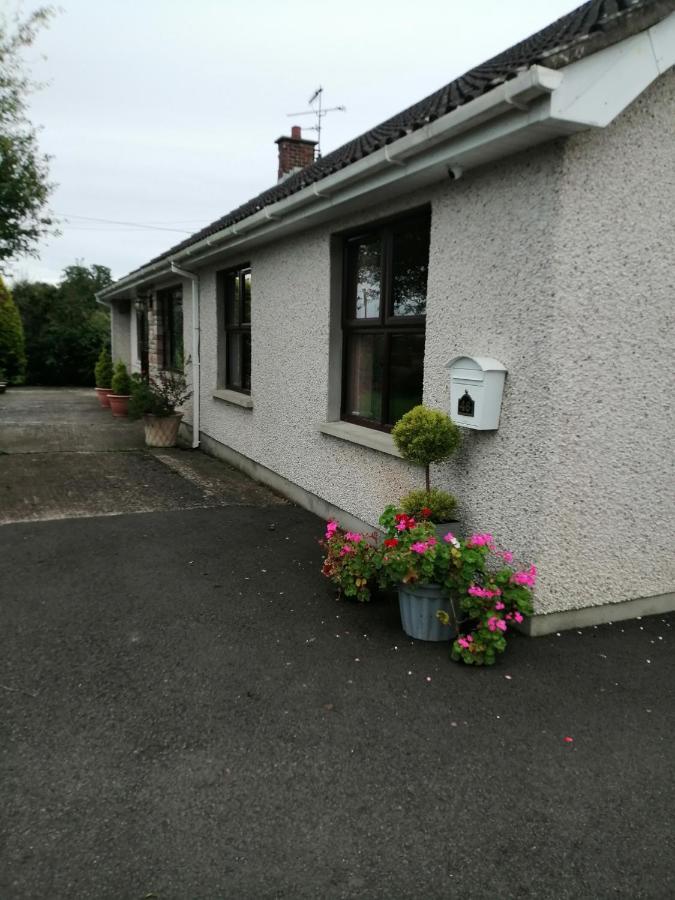 Lynn'S Lodge, International Airport 15Mins Randalstown 외부 사진